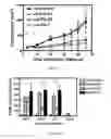 Fig. 06 - Compositions comprising angiogenic factors and methods of use thereof