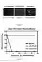 Fig. 08 - Compositions comprising angiogenic factors and methods of use thereof
