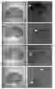 Fig. 01 - Compositions and methods related to protein A (SpA) variants