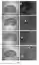 Fig. 03 - Compositions and methods related to protein A (SpA) variants
