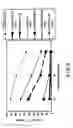 Fig. 05 - NUCLEIC ACID MUCOSAL IMMUNIZATION