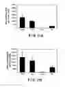 Fig. 11 - NUCLEIC ACID MUCOSAL IMMUNIZATION