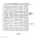 Fig. 06 - Recombinant attenuated dengue viruses comprising mutations in NS5 and the 3′ untranslated region