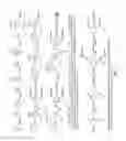 Fig. 07 - Small-molecule botulinum toxin inhibitors