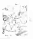 Fig. 09 - Small-molecule botulinum toxin inhibitors