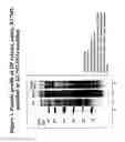 Fig. 04 - Allergoids Derived from Allergens