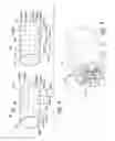 Fig. 09 - COMPOSITIONS AND METHODS FOR TREATING ASTHMA AND OTHER LUNG DISORDERS