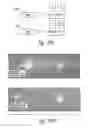 Fig. 22 - COMPOSITIONS AND METHODS FOR TREATING ASTHMA AND OTHER LUNG DISORDERS