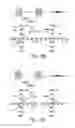 Fig. 72 - COMPOSITIONS AND METHODS FOR TREATING ASTHMA AND OTHER LUNG DISORDERS