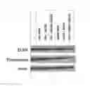 Fig. 02 - CARBON NANOTUBES COMPLEXED WITH MULTIPLE BIOACTIVE AGENTS AND METHODS RELATED THERETO