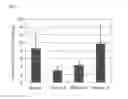 Fig. 06 - METHOD FOR THE TREATMENT AND PREVENTION OF ERECTILE DYSFUNCTION
