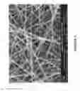 Fig. 04 - Antimicrobial substrate