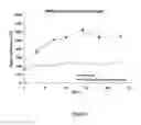 Fig. 04 - Silicone-peroxide compositions for long-term, controlled oxygen release