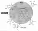 Fig. 01 - Elastin stabilization of connective tissue