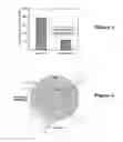 Fig. 02 - Elastin stabilization of connective tissue