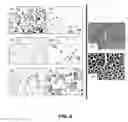 Fig. 05 - Nanostructure surface coated medical implants and methods of using the same