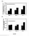 Fig. 06 - Nanostructure surface coated medical implants and methods of using the same