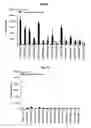 Fig. 13 - Immunostimulatory compositions comprising liposome-encapsulated oligonucleotides and epitopes