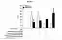 Fig. 16 - Immunostimulatory compositions comprising liposome-encapsulated oligonucleotides and epitopes
