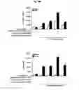 Fig. 35 - Immunostimulatory compositions comprising liposome-encapsulated oligonucleotides and epitopes