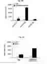 Fig. 44 - Immunostimulatory compositions comprising liposome-encapsulated oligonucleotides and epitopes