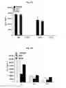Fig. 49 - Immunostimulatory compositions comprising liposome-encapsulated oligonucleotides and epitopes