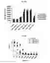 Fig. 50 - Immunostimulatory compositions comprising liposome-encapsulated oligonucleotides and epitopes