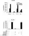 Fig. 54 - Immunostimulatory compositions comprising liposome-encapsulated oligonucleotides and epitopes