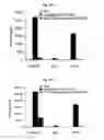Fig. 55 - Immunostimulatory compositions comprising liposome-encapsulated oligonucleotides and epitopes