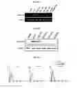Fig. 57 - Immunostimulatory compositions comprising liposome-encapsulated oligonucleotides and epitopes