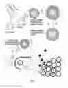 Fig. 02 - PEPTIDE/PARTICLE DELIVERY SYSTEMS