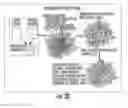 Fig. 45 - PEPTIDE/PARTICLE DELIVERY SYSTEMS