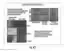 Fig. 49 - PEPTIDE/PARTICLE DELIVERY SYSTEMS
