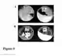 Fig. 08 - DAIRY PRODUCT AND PROCESS