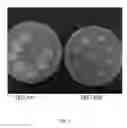 Fig. 09 - TALAROMYCES STRAINS AND ENZYME COMPOSITIONS