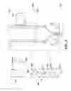 Fig. 07 - FLEXIBLE SACHET AND MANUFACTURING METHOD