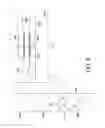 Fig. 09 - FLEXIBLE SACHET AND MANUFACTURING METHOD