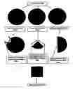 Fig. 01 - Citrus paper application sheet for applying to freshly exposed or cut surfaces of fruit to prevent browning