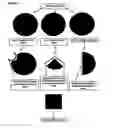 Fig. 02 - Citrus paper application sheet for applying to freshly exposed or cut surfaces of fruit to prevent browning