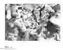 Fig. 03 - PAEK powder, in particular for the use in a method for a layer-wise manufacturing of a three-dimensional object, as well as method for producing it