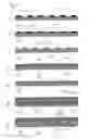 Fig. 05 - Article, an intermediate product, and a method of making an article