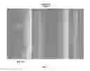 Fig. 04 - Electrophoretic deposition of adsorbent media