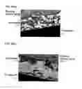 Fig. 09 - DEVICES WITH MULTIPLE SURFACE FUNCTIONALITY