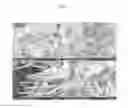 Fig. 04 - SYNTHESIS METHOD OF GRAPHITIC SHELL-ALLOY CORE HETEROSTRUCTURE NANOWIRES AND LONGITUDINAL METAL OXIDE HETEROSTRUCTURE NANOWIRES, AND REVERSIBLE SYNTHESIS METHOD BETWEEN NANOWIRES THEREOF