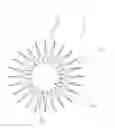 Fig. 01 - URCHIN-LIKE IRON OXIDE AND A METHOD FOR PRODUCING THE URCHIN-LIKE IRON OXIDE
