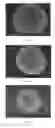 Fig. 07 - URCHIN-LIKE IRON OXIDE AND A METHOD FOR PRODUCING THE URCHIN-LIKE IRON OXIDE