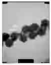 Fig. 01 - pH-Adjusting Textile Containing Amphoteric Polymer Composite Nanoparticles