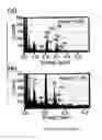 Fig. 08 - SYSTEM AND METHOD FOR SYNTHESIZING CORE/ALLOY NANOSTRUCTURES