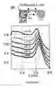 Fig. 10 - SYSTEM AND METHOD FOR SYNTHESIZING CORE/ALLOY NANOSTRUCTURES