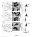 Fig. 18 - SYSTEM AND METHOD FOR SYNTHESIZING CORE/ALLOY NANOSTRUCTURES